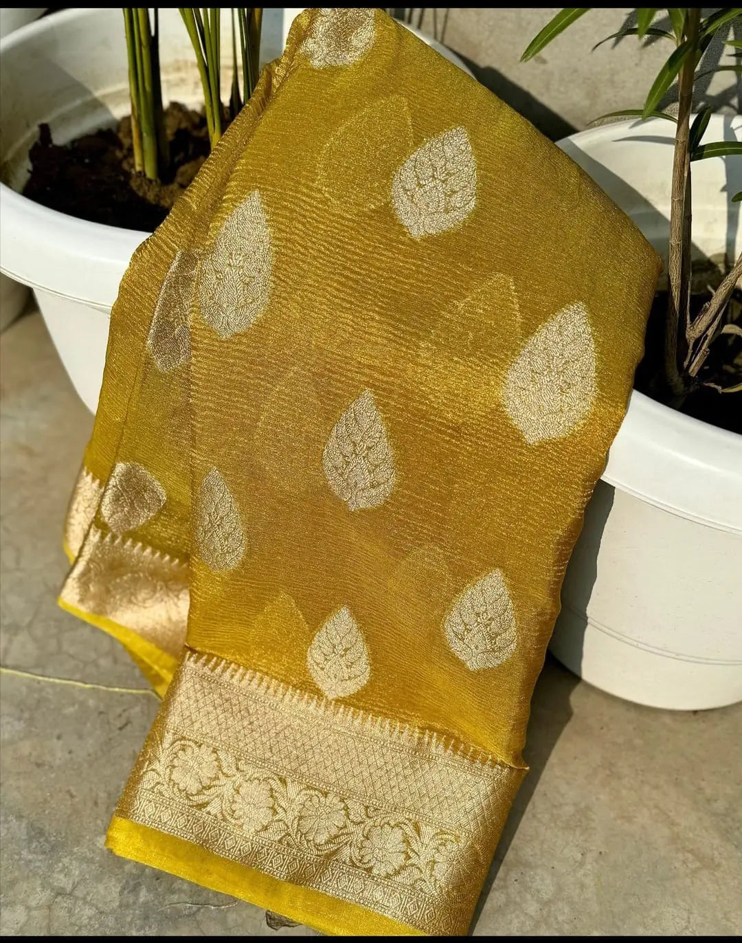 Step into timeless elegance with this stunning Mustard Banarasi Silk Saree